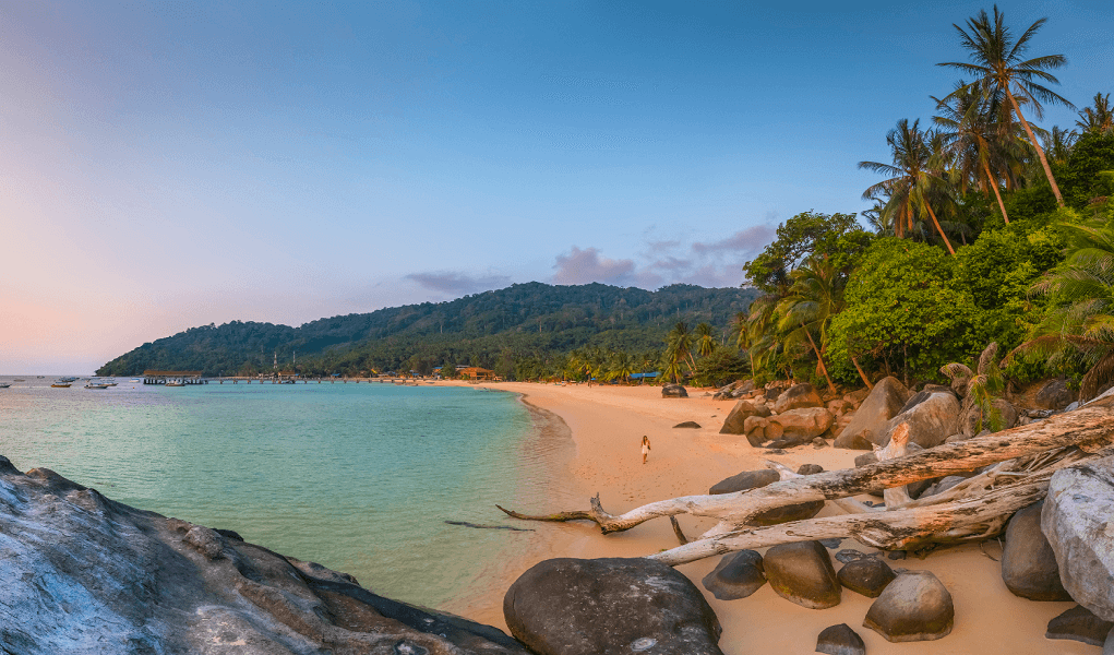 Morning haze over a turquoise bay on Tioman Island, palms swaying in calm breeze